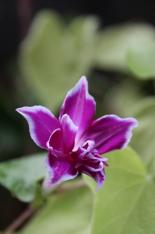   9月