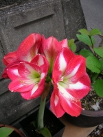   10月