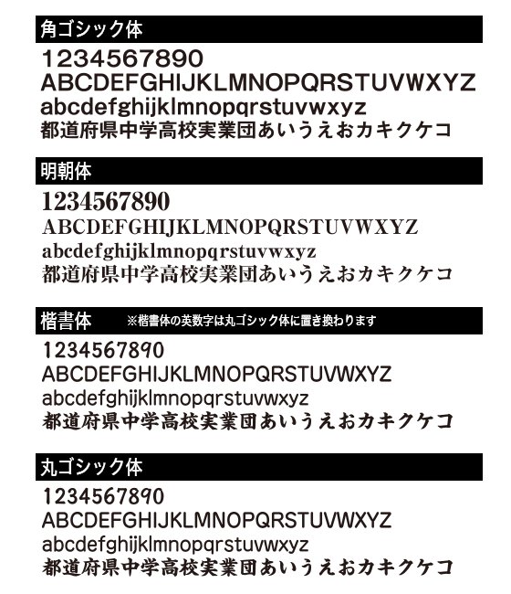 オリジナルビブス 文字1行【片面プリント】の画像