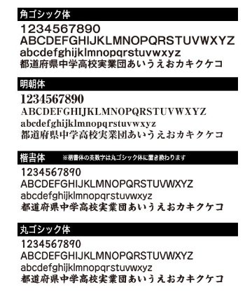 オリジナルビブス 文字1行【両面プリント】の画像